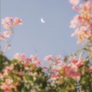 Meet your Posher, Martina